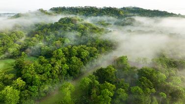 Canje de deuda por naturaleza: una inversión en el futuro de Costa Rica
