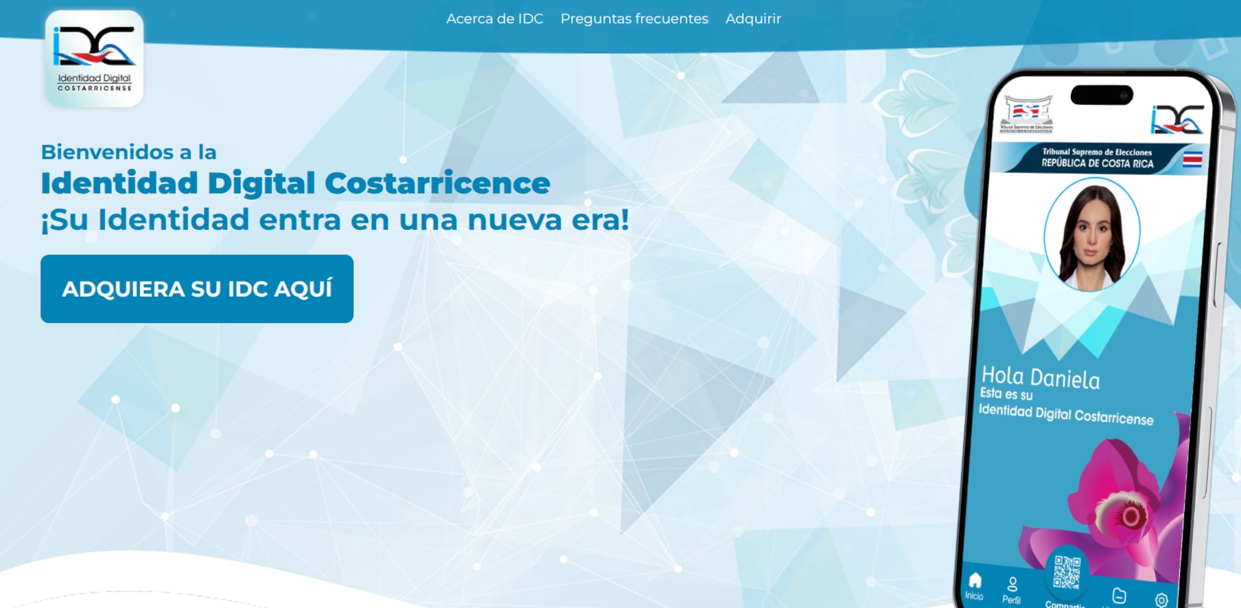 Sitio de internet TSE
