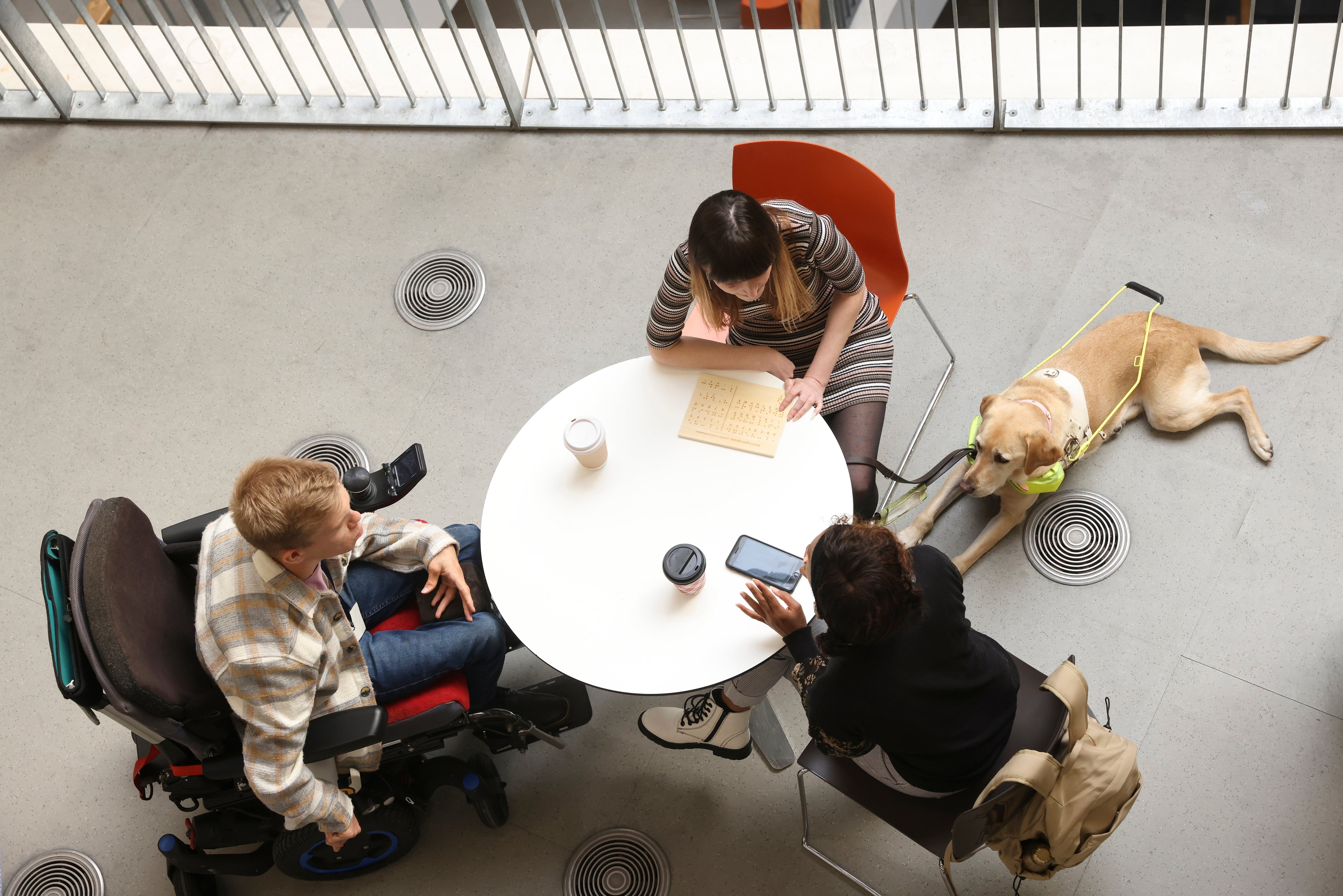 Personas con discapacidades, discapacidad, no videntes, parálisis cerebral, ceguera, perros guías, inclusión laboral