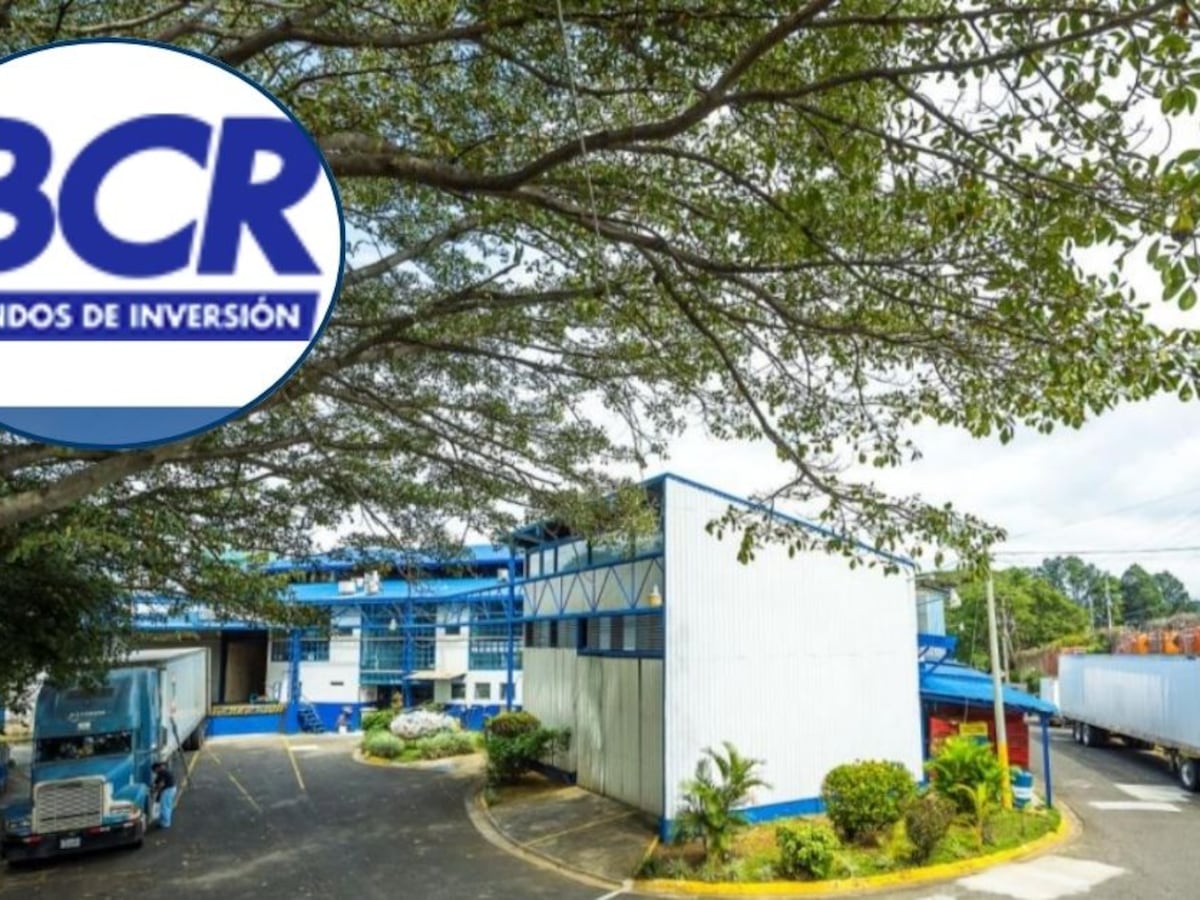 Escándalo millonario en el Banco de Costa Rica: Fraude y corrupción en la gestión de fondos inmobiliarios
