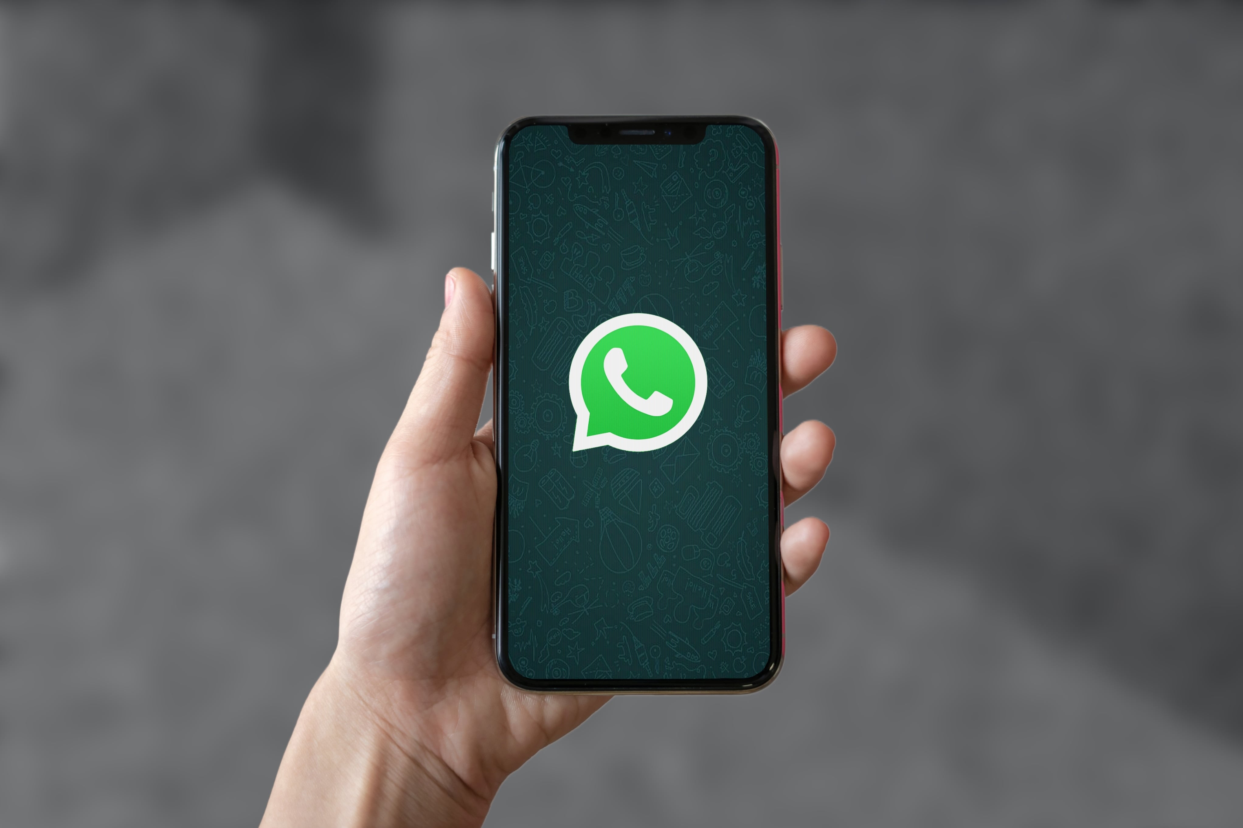 En la imagen un teléfono con el ícono de WhatsApp.