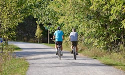 Día Mundial de la Bicicleta: los increíbles beneficios de pedalear para tu cerebro