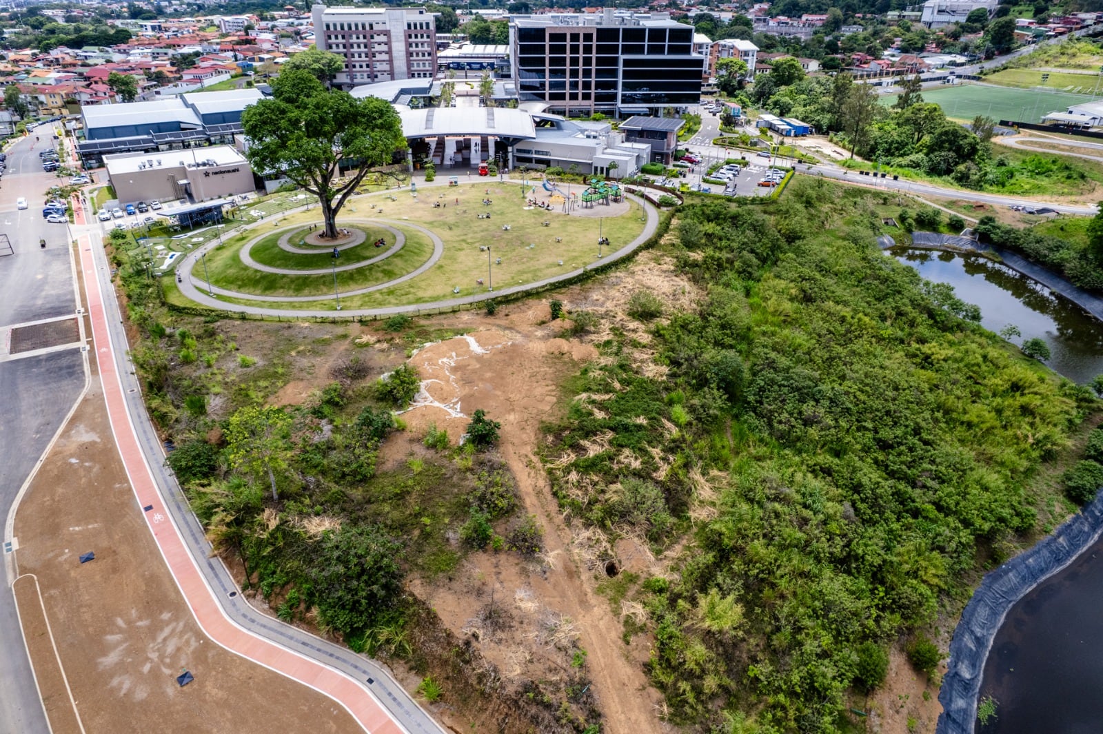 Bosque Tacaco
