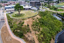¿Cómo hacer un bosque en medio de la ciudad? Costa Rica prueba una nueva estrategia de reforestación en Curridabat