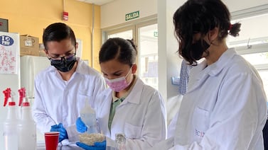 Colegios técnicos, científicos, bilingües y de otras categorías especiales. ¿Dónde están y a cuántos alumnos reciben?