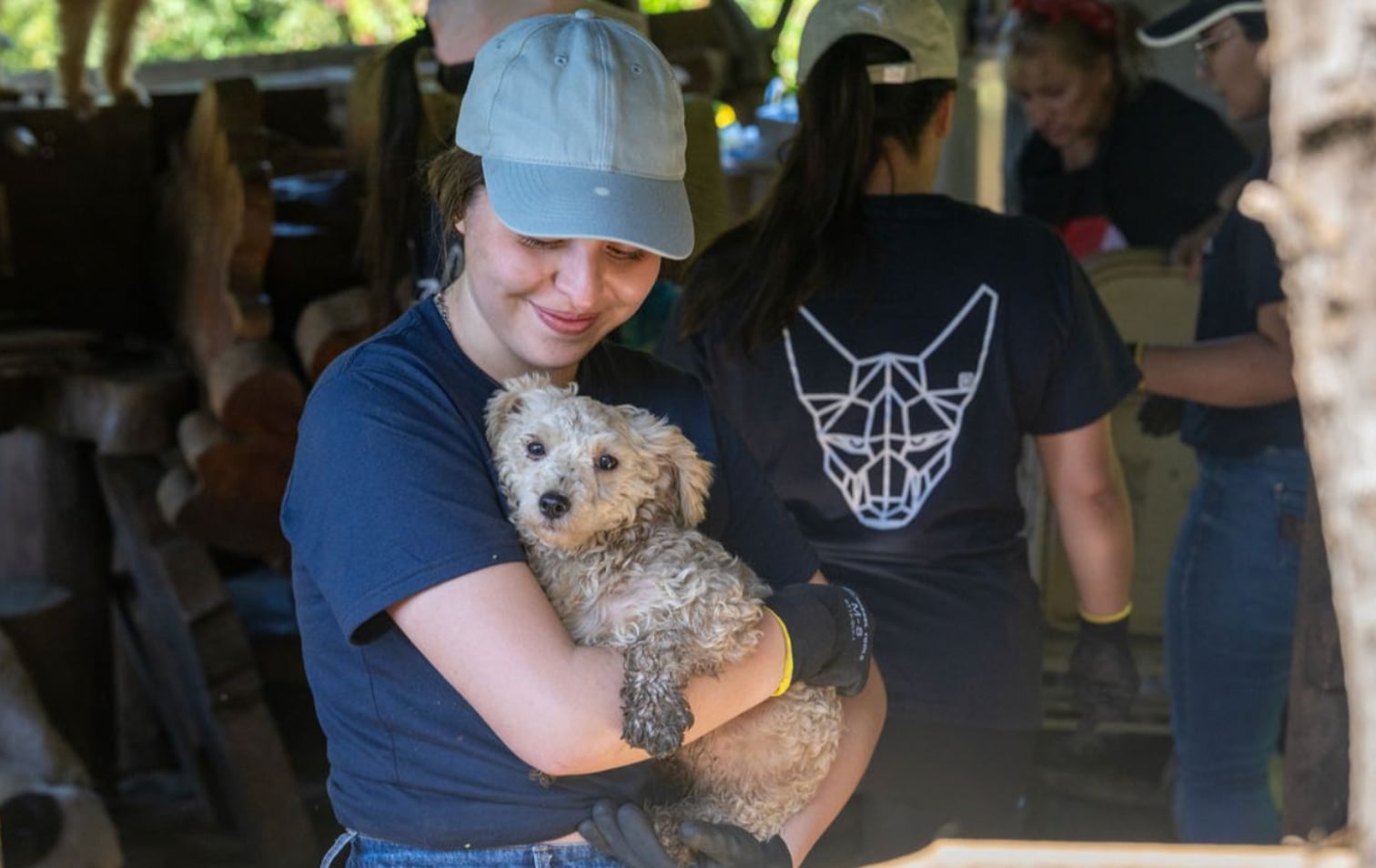 Guardianes de perros