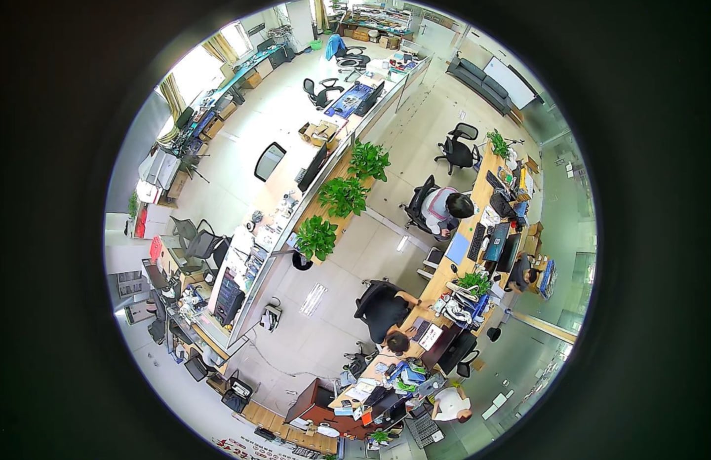 Experto en seguridad: “Este es un tema de 360 grados. No se trata solo de reaccionar, sino de prevenir”