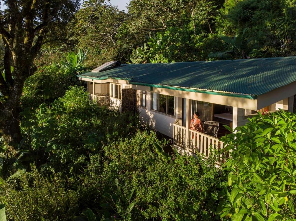 Hotel en bosque nuboso.
