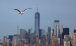 Inflación en Estados Unidos se estancó en 2,4% en febrero: ¿qué implica para Costa Rica?