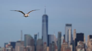 Los argumentos a favor de una Organización Multilateral de Comercio sin Estados Unidos