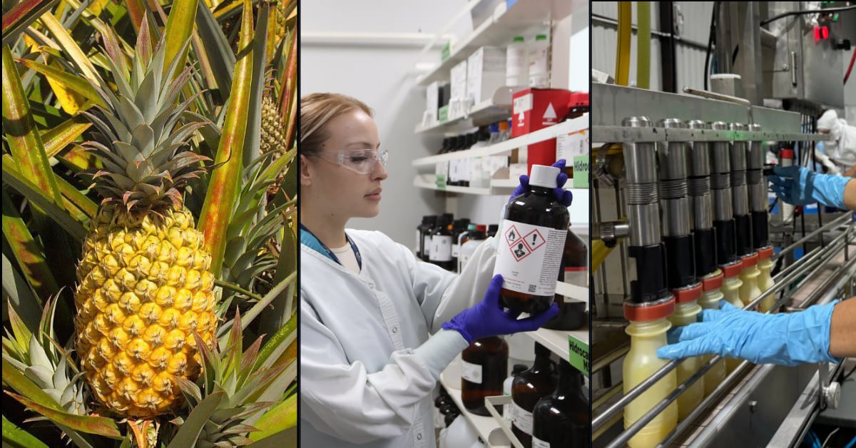 El sector agrícola, la industria alimenticia y el sector farmacéutico, lideran las exportaciones de bienes de Costa Rica, tras los dispositivos médicos.