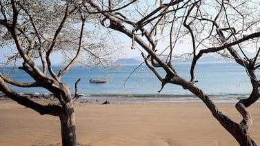 Turismo de lujo pone sus ojos en Costa Rica: Forbes elige a esta provincia como uno de los 6 destinos mundiales para 2026