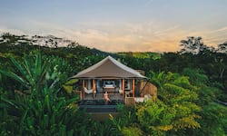 ¿Cómo nació la primera cadena hotelera de lujo de Costa Rica? Esta es la historia de Nayara Resorts