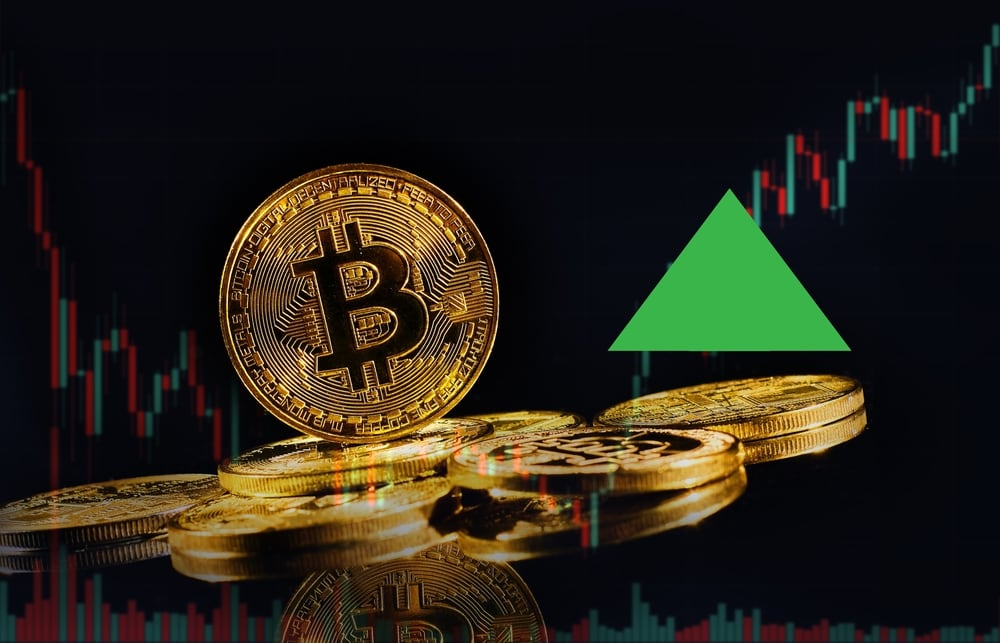 El valor del bitcoin se disparó en 2024.