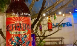 Mackavela: este es el pub josefino que se fermenta entre cerveza, arte, gatos y solidaridad