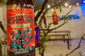 Mackavela: este es el pub josefino que se fermenta entre cerveza, arte, gatos y solidaridad