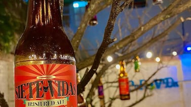 Mackavela: este es el pub josefino que se fermenta entre cerveza, arte, gatos y solidaridad