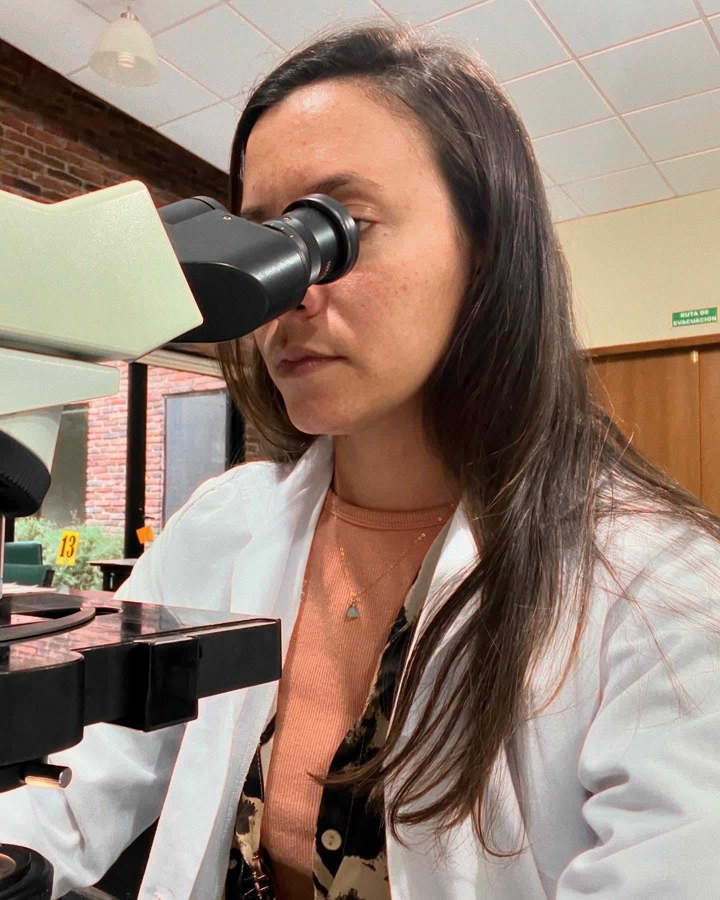 Banco de Sangre Animal, mascotas