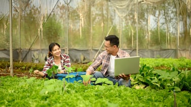 15 trabajos que crecerán de aquí al 2030 y 15 que tendrán menos demanda