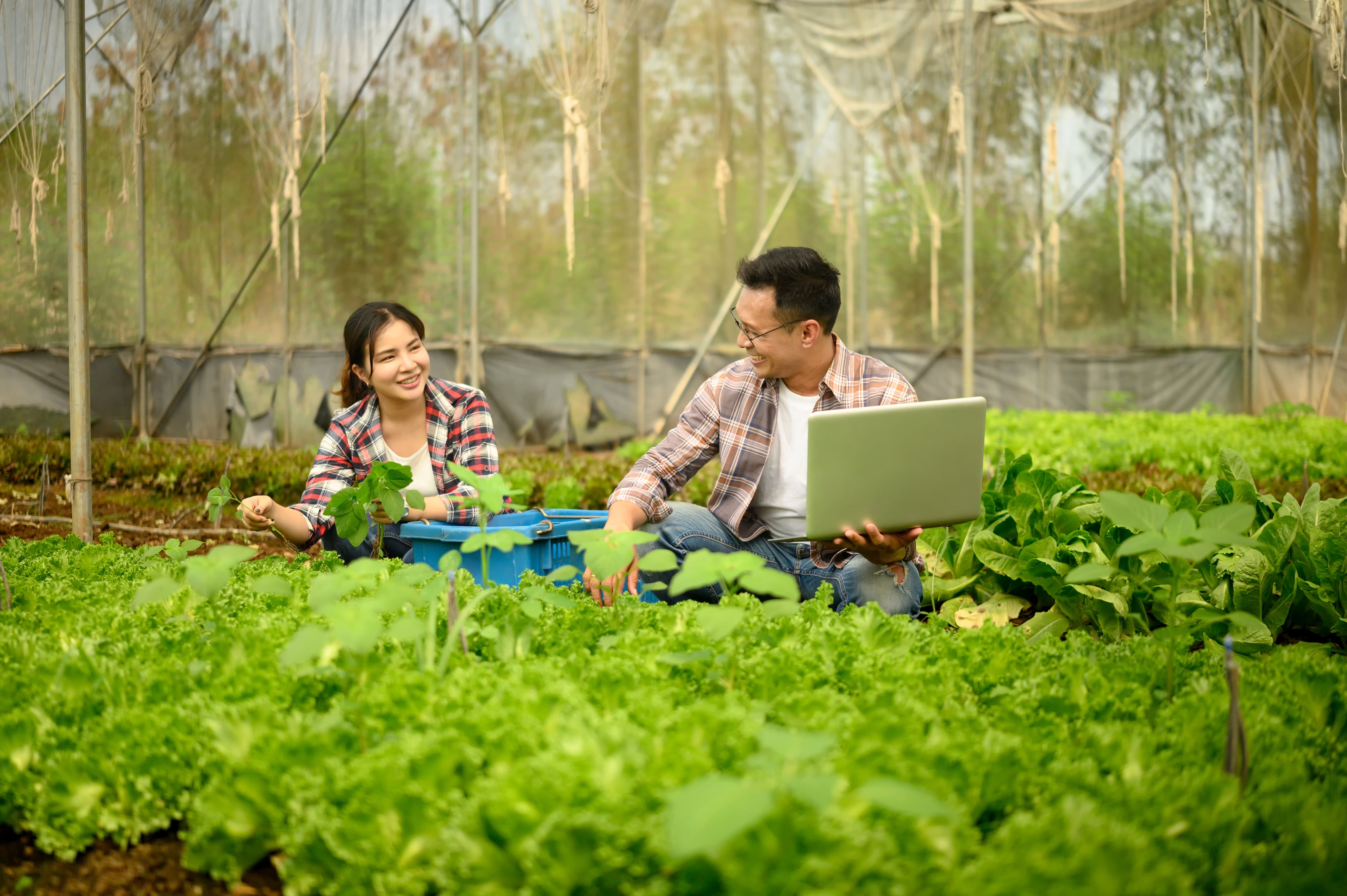 Uso de tecnologías en la agricultura, agro, jóvenes trabajando en sector del agro