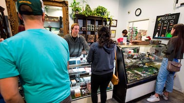 Pese a legalización, California sufre con cultivos irregulares de marihuana