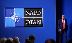 ¿Dónde se han ido todos los aliados?