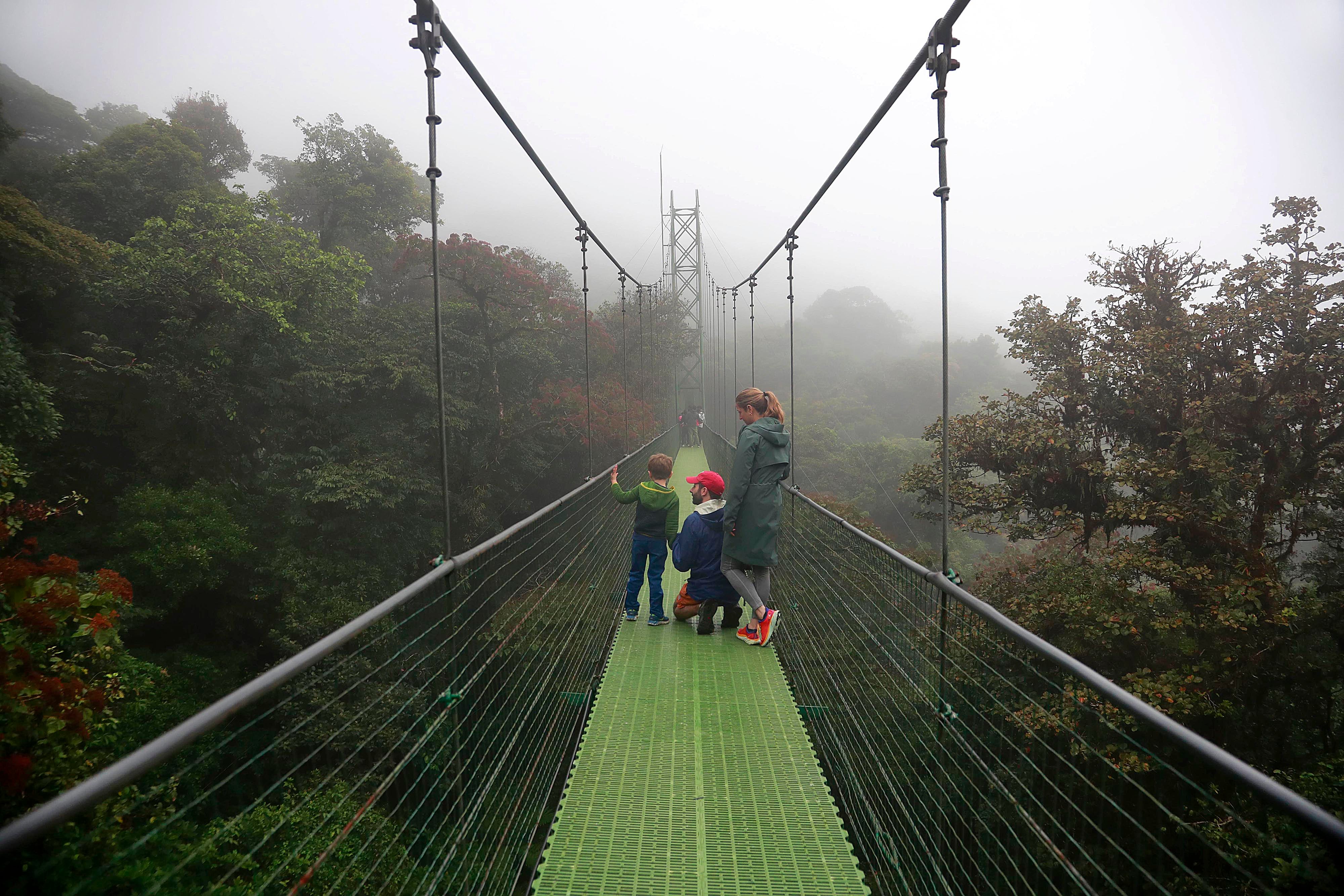 Monteverde. Treetopia, empresa familiar, liderada por Rodrigo Valverde Sánchez y sus cuatro hijos, se ha convertido en pilar en la industria del turismo de aventura en la zona. Cuenta con seis puentes colgantes en las copas de los árboles con fines ecoturísticos, pero también ofrece un teleférico a sus visitantes.