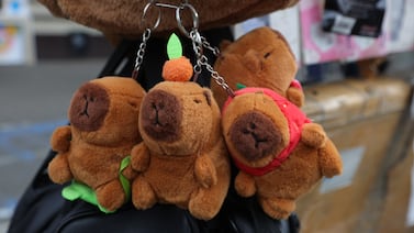 Capibaras, capibaras y más capibaras: ¿cómo aprovechar un fenómeno mercadológico y no morir en el intento?