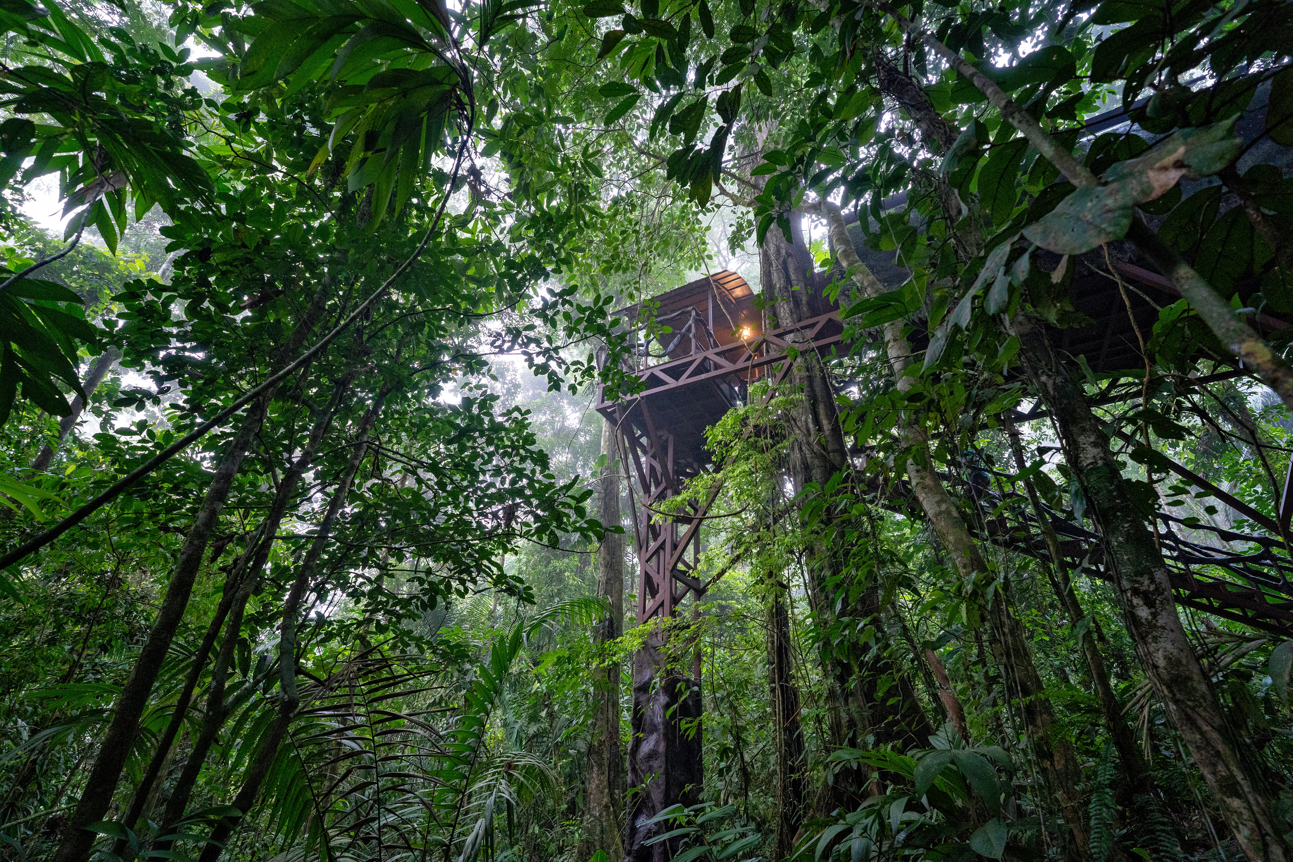 Maquenque Lodge