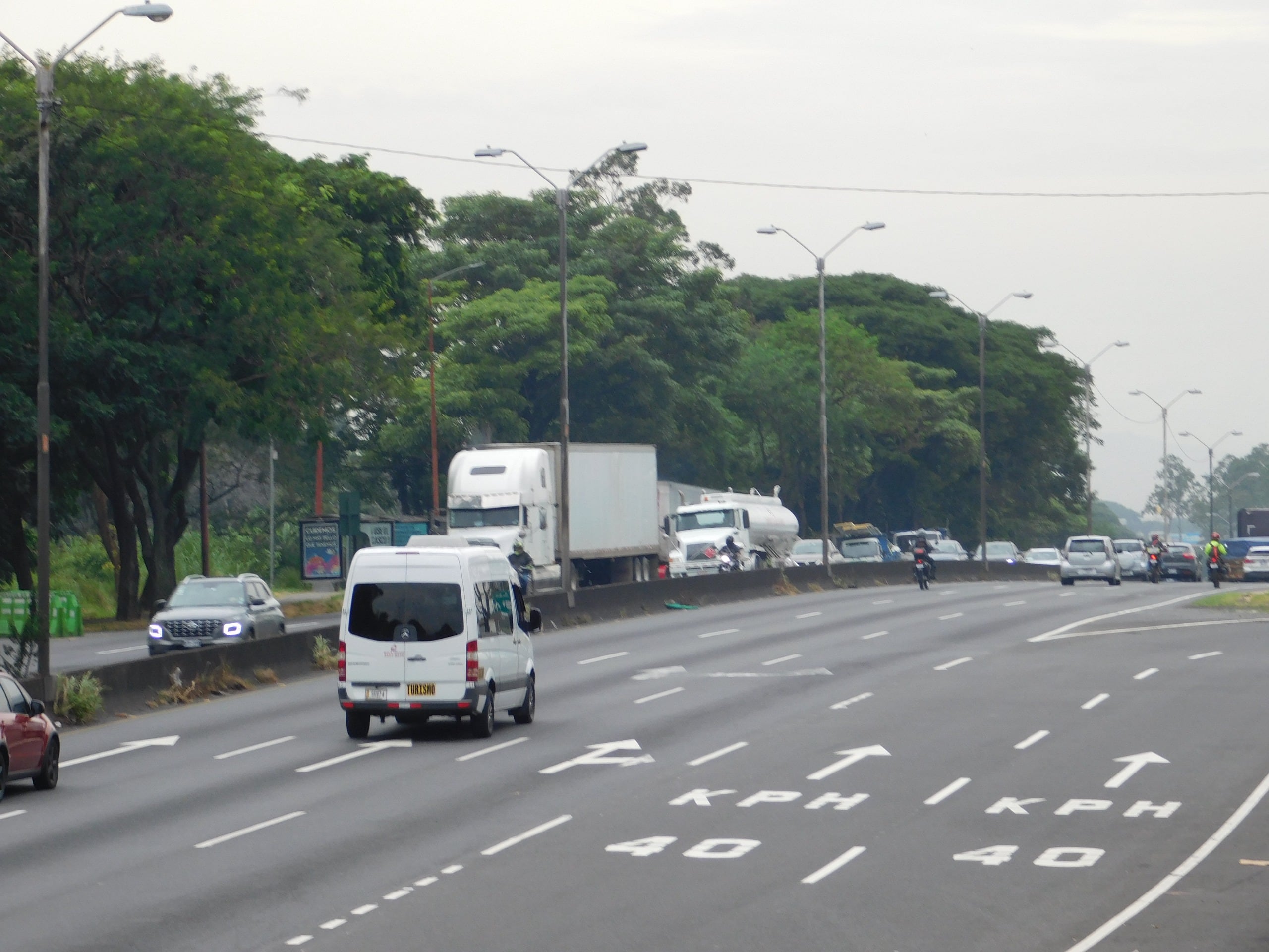 Poda en la Autopista General Cañas