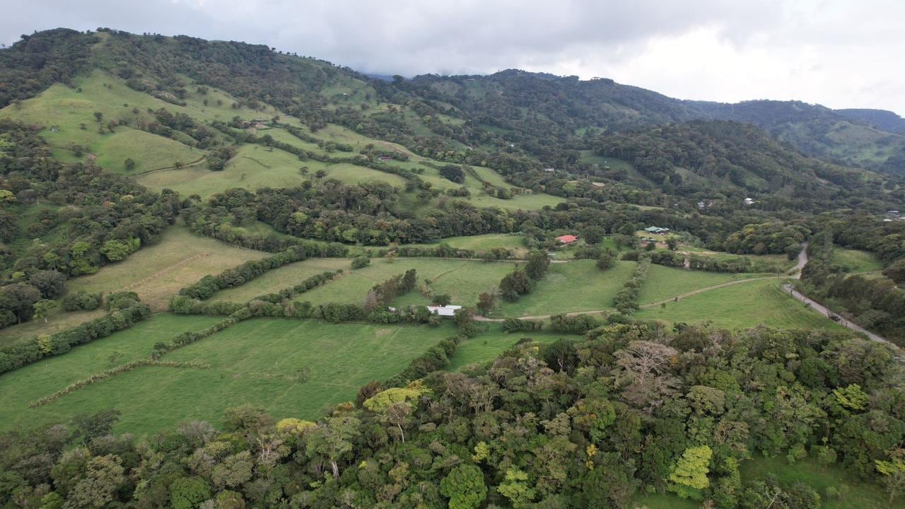 TERRA QUINTAS