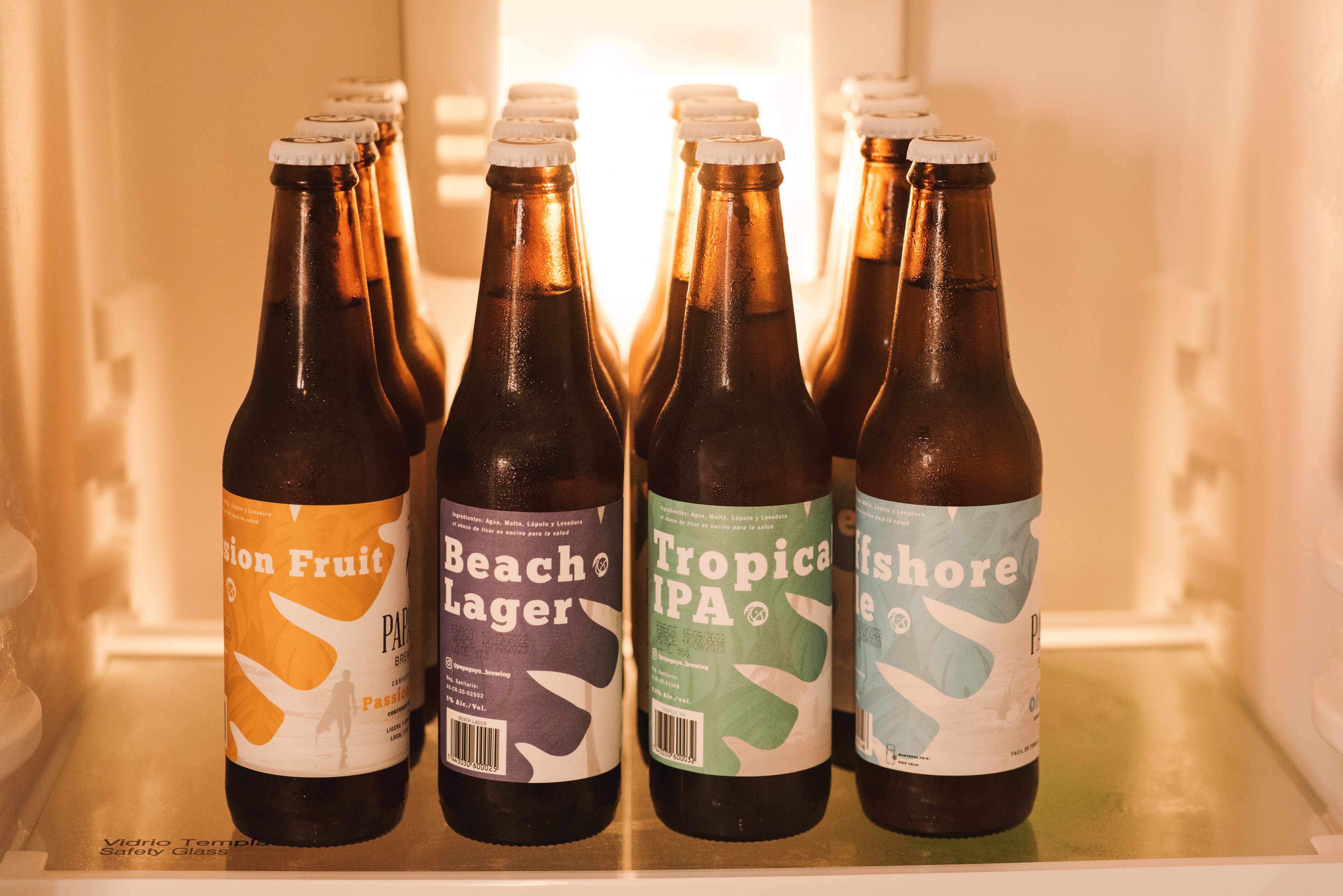 Papagayo Brewing, cerveceria artesanal, Guanacaste