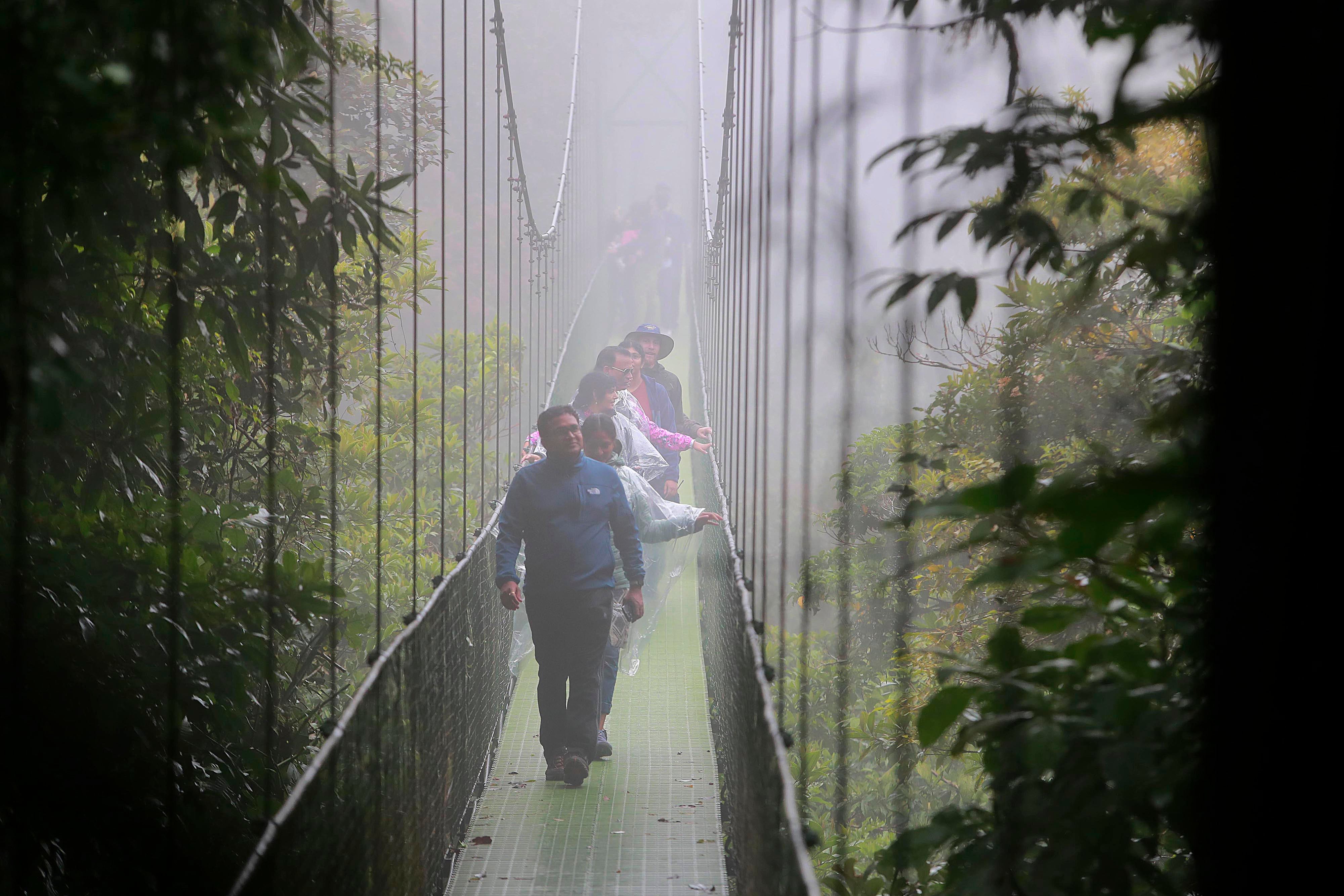 Monteverde. Treetopia, empresa familiar, liderada por Rodrigo Valverde Sánchez y sus cuatro hijos, se ha convertido en pilar en la industria del turismo de aventura en la zona. Cuenta con seis puentes colgantes en las copas de los árboles con fines ecoturísticos, pero también ofrece un teleférico a sus visitantes.