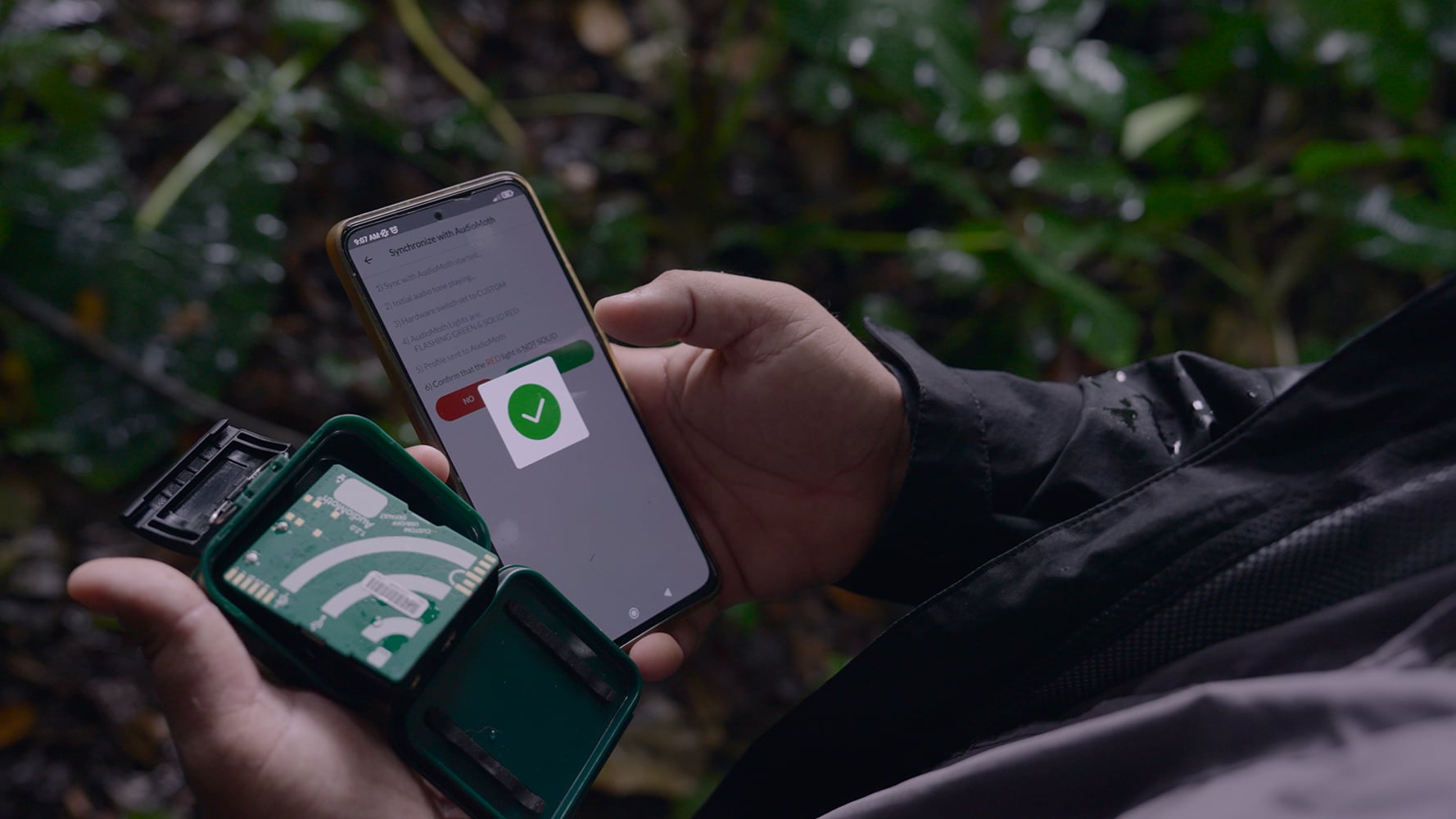 Macaw, Sinac, CCT, Huawei, Rainforest, lapa roja, lapa verde