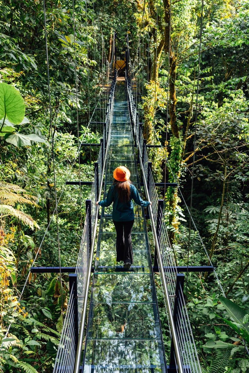 El puente de vidrio cuenta con una longitud de 42 metros y alcanza alturas de hasta 20 metros sobre el suelo del bosque nuboso.