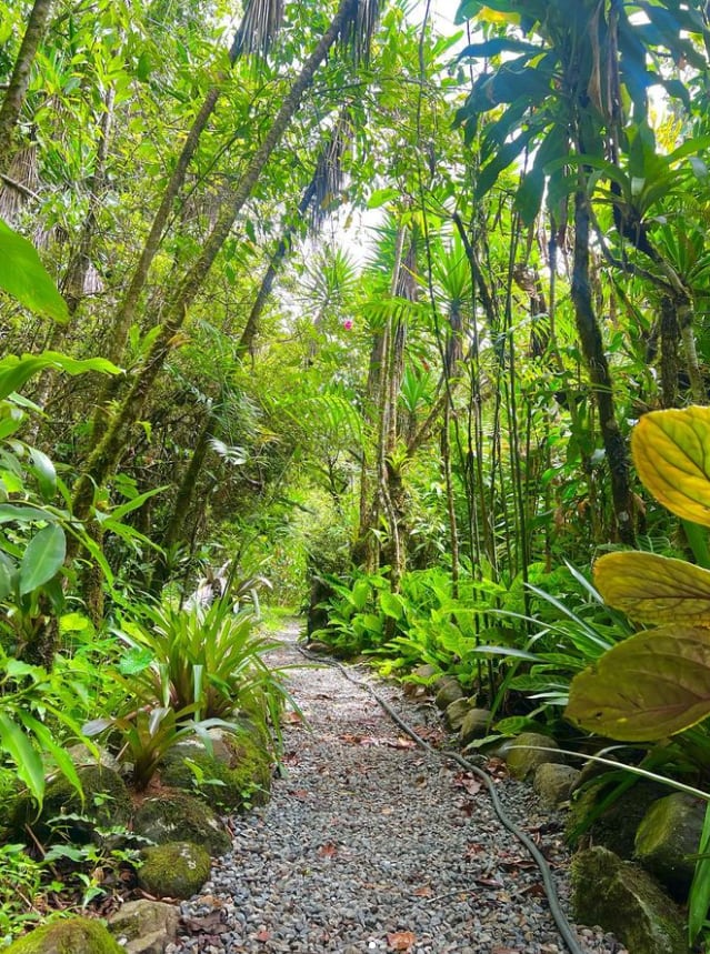 Jardines Secretos, emprendedores, historias, Emprender