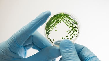 Estancada, centralizada y con brechas de género: 5 claves para entender la graduación STEM en Costa Rica