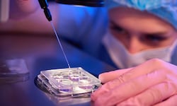 Así es cómo la inteligencia artificial está cambiando la reproducción asistida