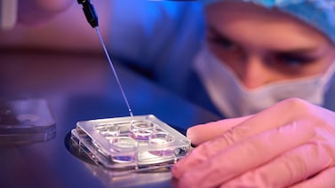 Así es cómo la inteligencia artificial está cambiando la reproducción asistida