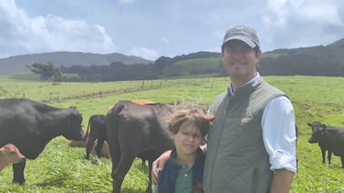 Conozca la finca familiar en Liberia que vende carne wagyū a los hoteles más lujosos de Costa Rica