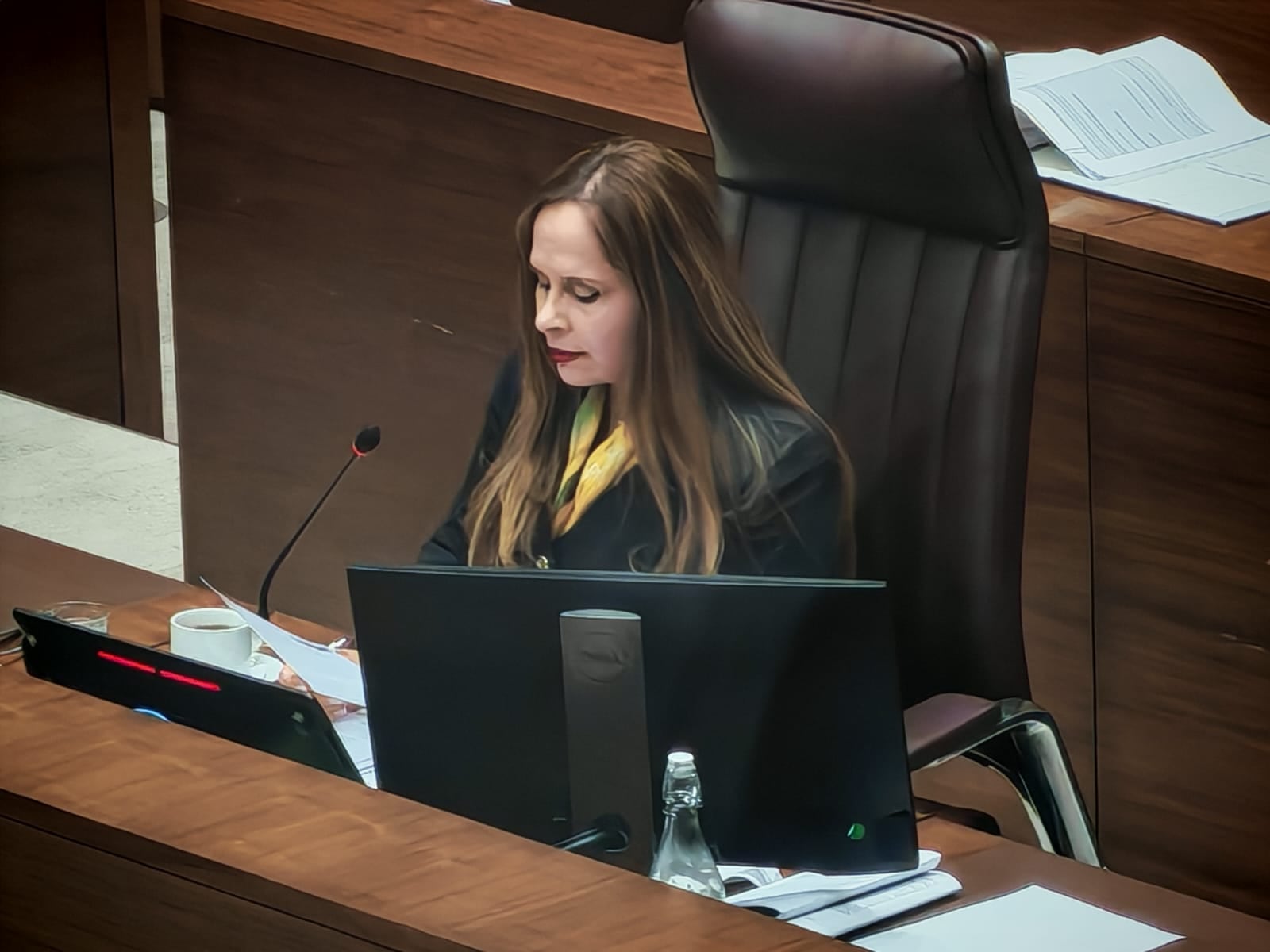 Diputados en el Plenario durante la lectura de la resolución de las permutas