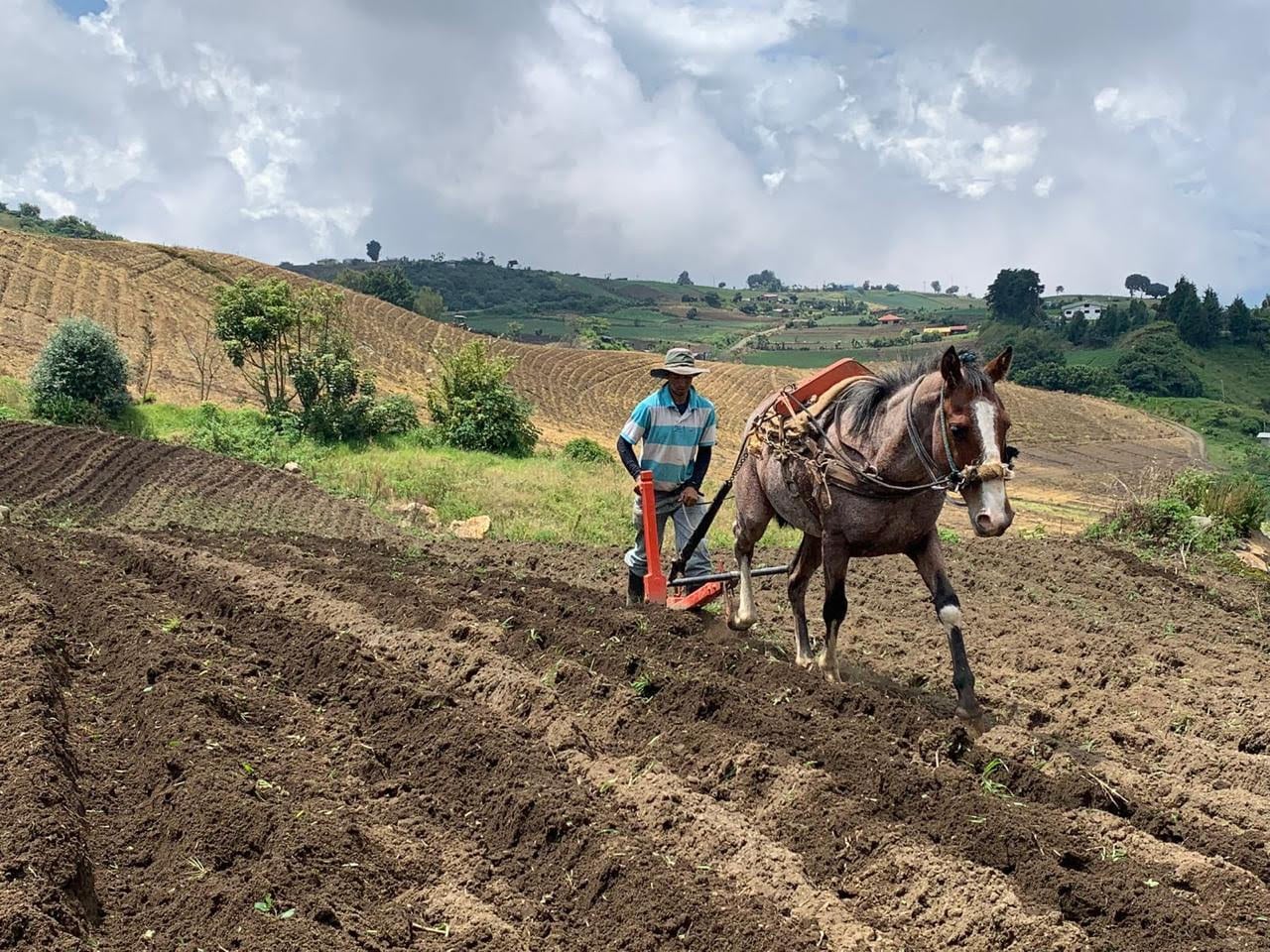 Finca Los Sitios, Tierra Blanca de Cartago