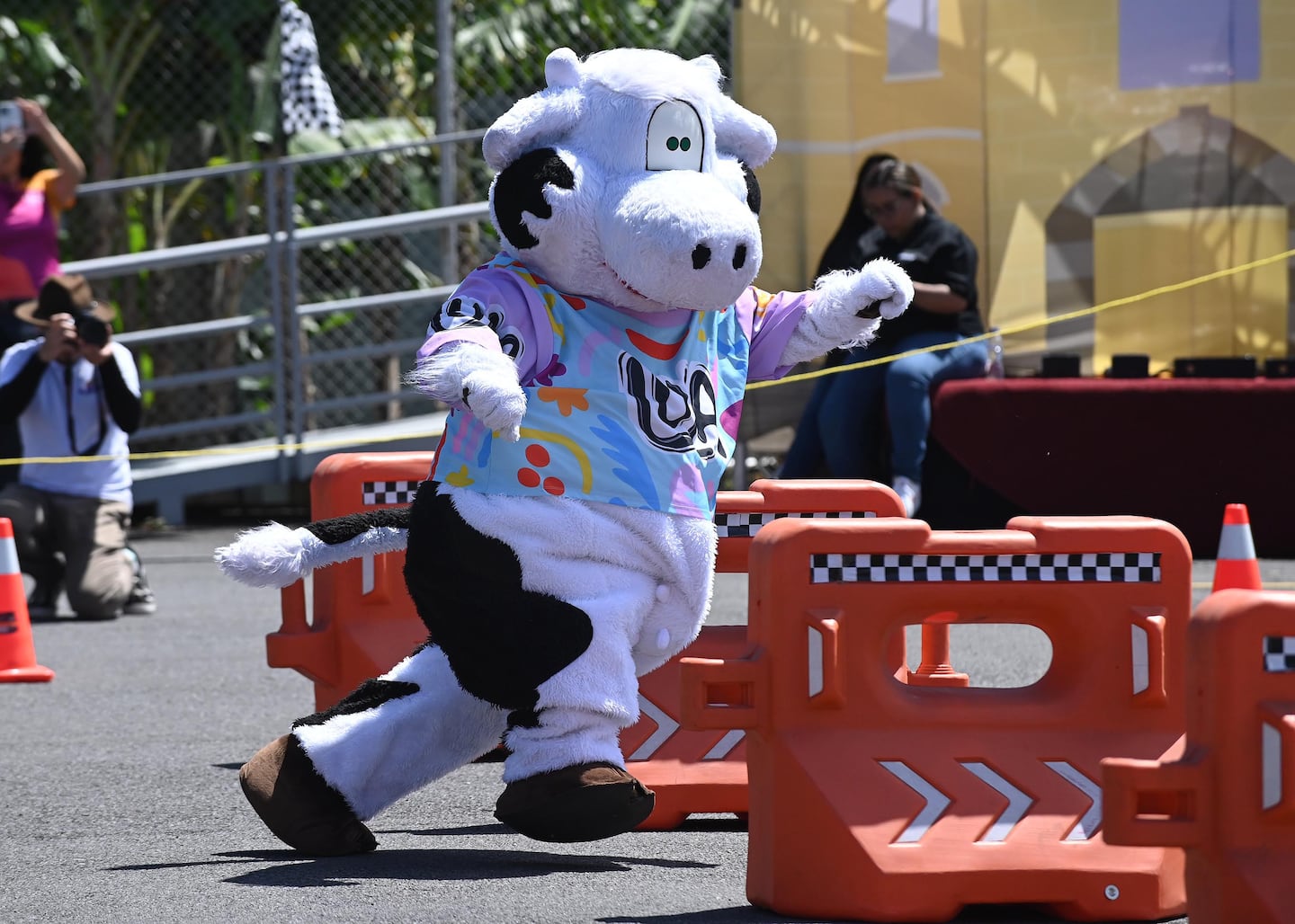 Más allá del disfraz: ¿Cómo y de qué se puede proteger legalmente una botarga en Costa Rica?