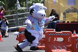 Más allá del disfraz: ¿Cómo y de qué se puede proteger legalmente una botarga en Costa Rica?