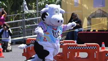 Más allá del disfraz: ¿Cómo y de qué se puede proteger legalmente una botarga en Costa Rica?