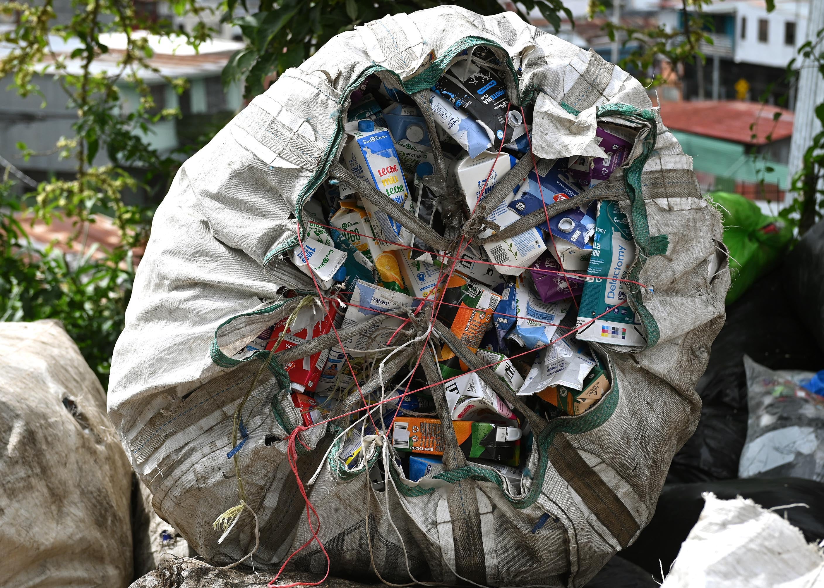 29 de abril del 2025. Tirrases de Curridabat. 14:00 hrs. Entrevisra a Patricia Savallos Ríos quién dirije una pequeña planta de reciclaje en Tirrases de Curridabat. Durante muchos años Savallos fue "buzo de la basura" en Río Azul pero debido al cierre del botadero decidió montar su propia empresa de reciclaje que cuenta con tres empleados en la actualidad. En la foto: Retratos de doña Patricia, asi como de Keyden Quirós empleado de la planta. Foto: Albert Marín para La Teja.