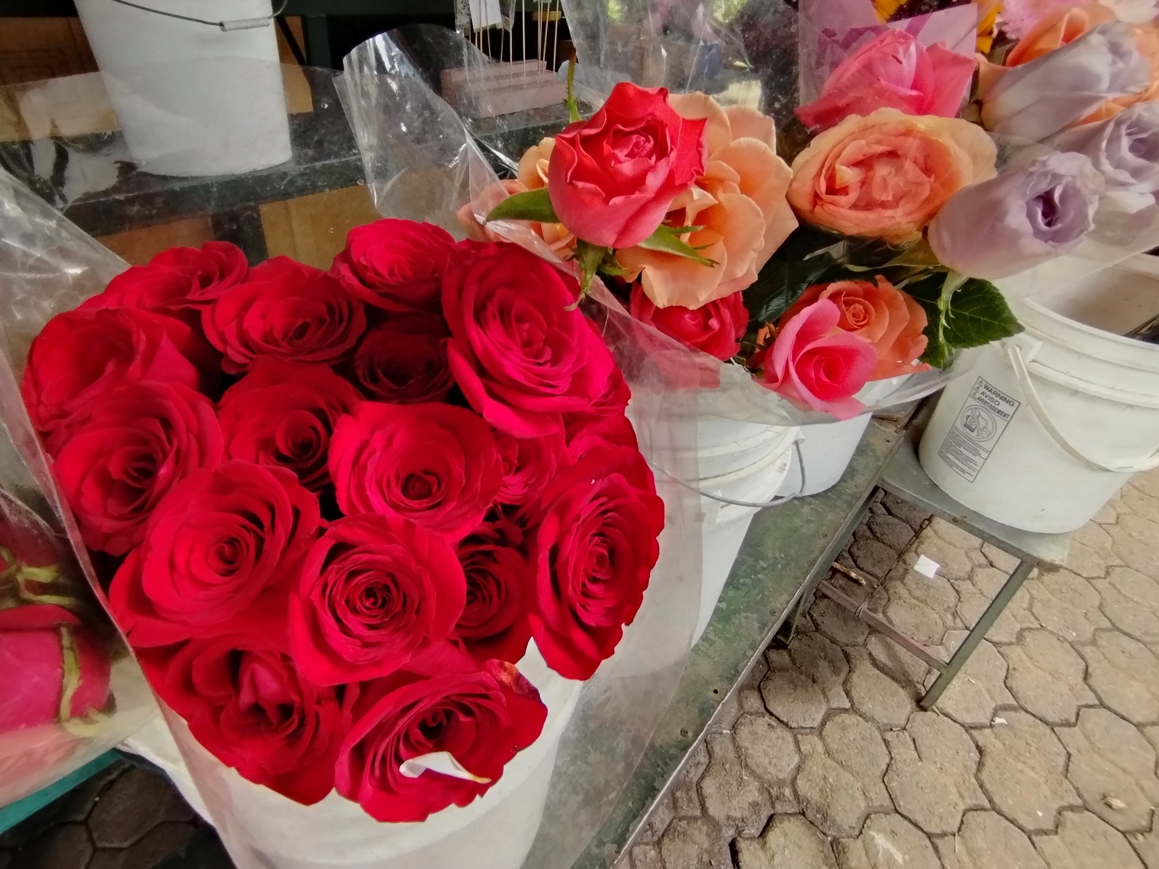 Floristerías San José