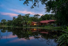 Maquenque Lodge: así es un fin de semana entre 250 especies de aves y una casa del árbol