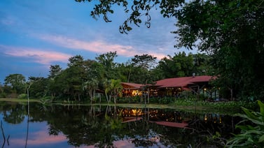 Maquenque Lodge: así es un fin de semana entre 250 especies de aves y una casa del árbol