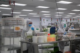 Podcast: Costa Rica produce más pero retiene menos riqueza: la paradoja de un crecimiento poco inclusivo